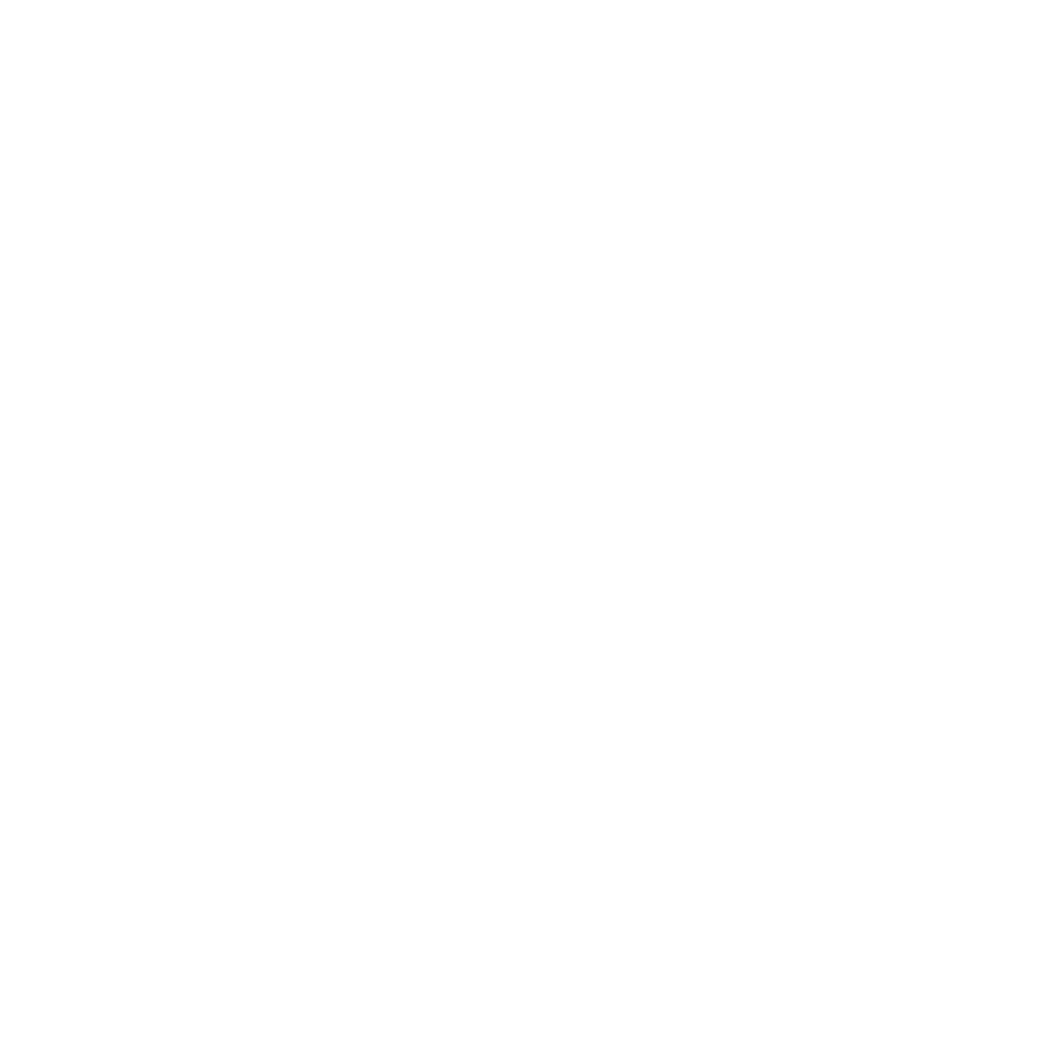 calcio11